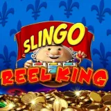image-4-slingoe-img